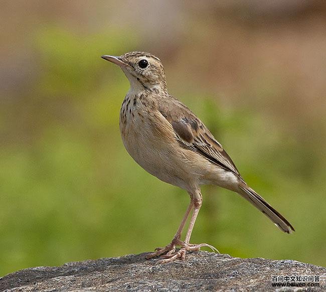 �����ҵ�ͼƬ