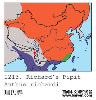 �����ң������ֲ�ͼ