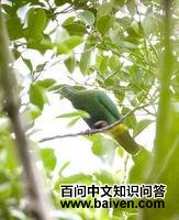 ���Ϲ���ͼƬ