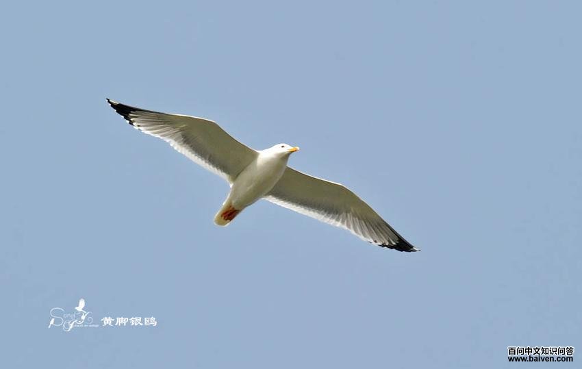 ������Ÿ��������Ȼ֮��