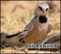 �ﺣ��ѻ��ͼƬ