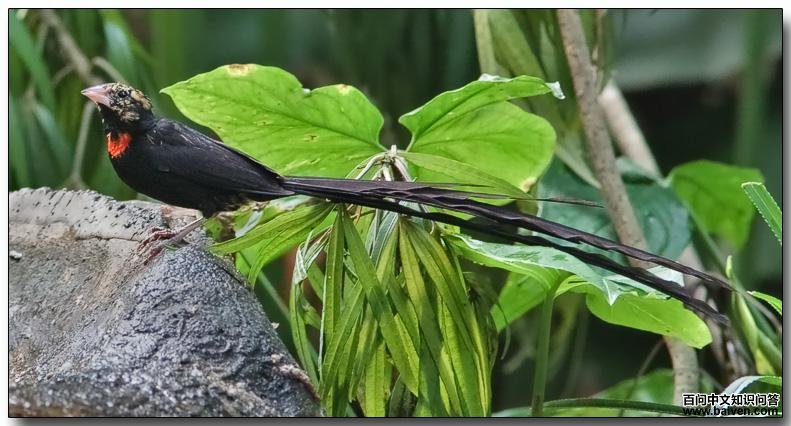 ��԰ά�����ͼƬ