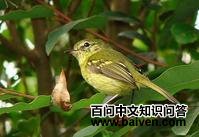 ��˹�����l��ͼƬ