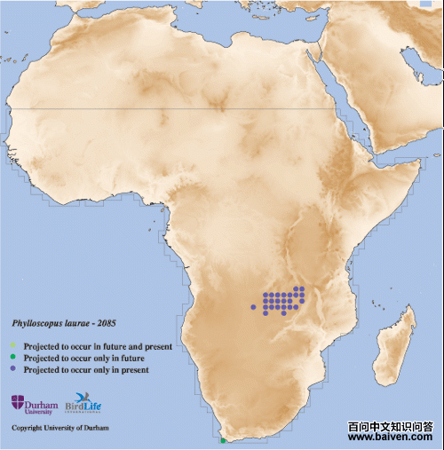 ������ݺ