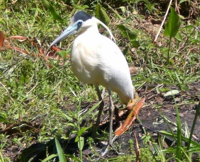 ����ڶ��ص�ͼƬ