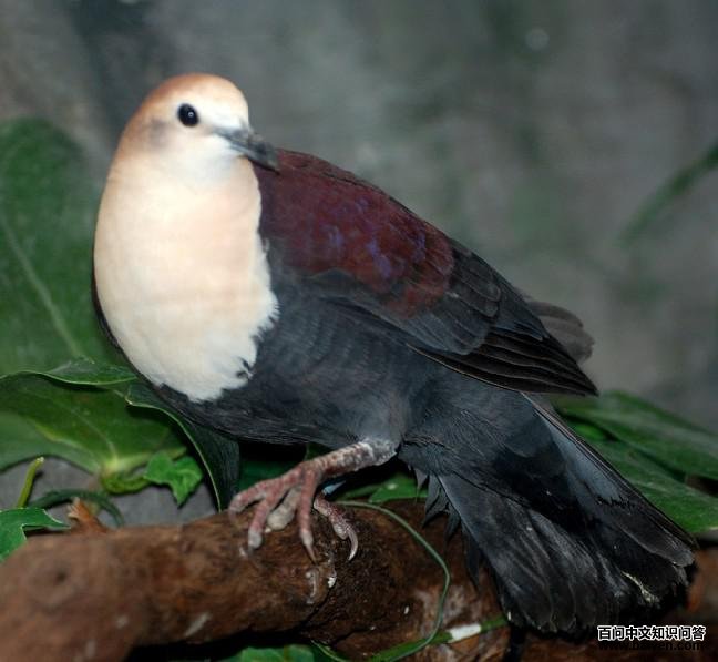 �׺�����ͼƬ