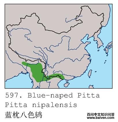 ������ɫ�