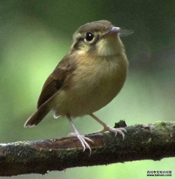 �׺�����ȸ