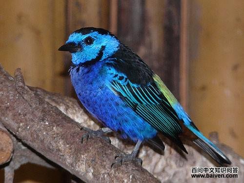 �����Ƽ���ȸ