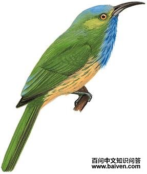 ����ҹ�仢����̬����ͼ