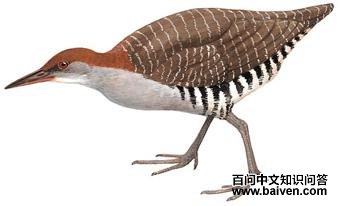 ������������̬����ͼ