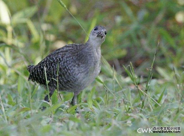 ��������������