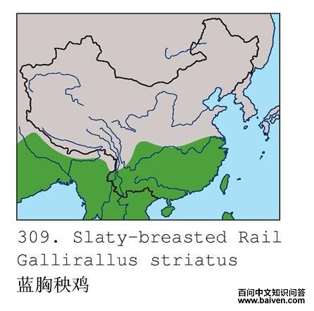 ���������������ֲ�ͼ