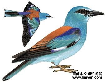 ���ط�ɮ����̬����ͼ