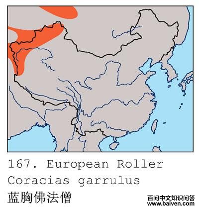 ���ط�ɮ�������ֲ�ͼ