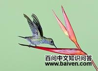 ���ط���