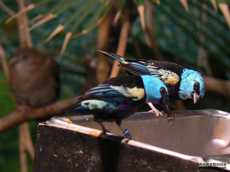 �����Ƽ���ȸ��ͼƬ