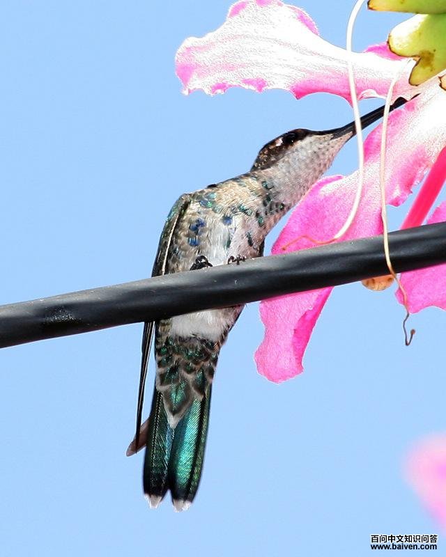 �����Ǻ����������ǳ���