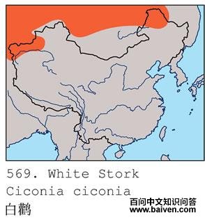 ���٣������ֲ�ͼ