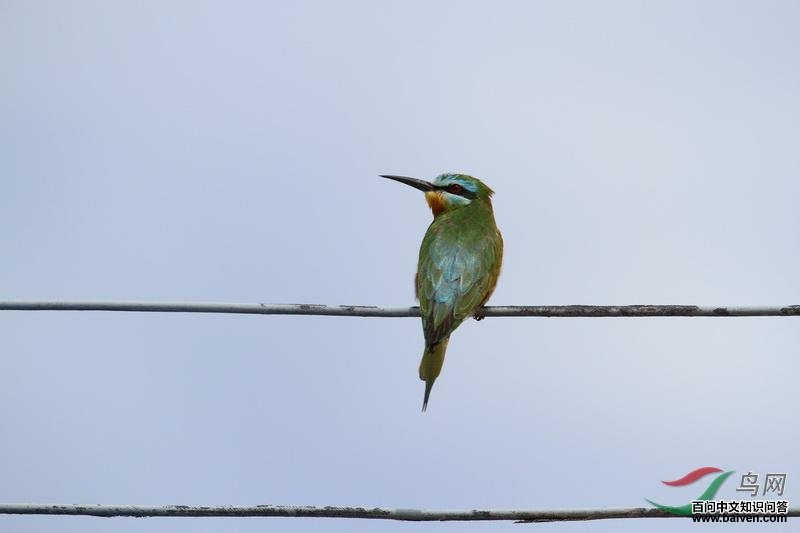 ���շ仢�������½�