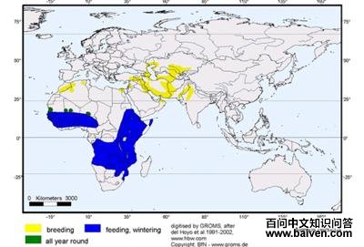 ���շ仢�������ֲ�ͼ