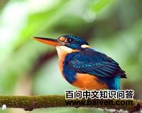 ���ش���