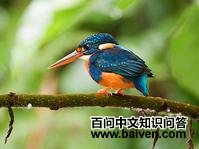 ���ش���