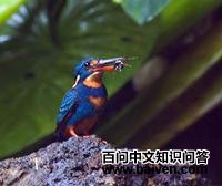 ���ش���