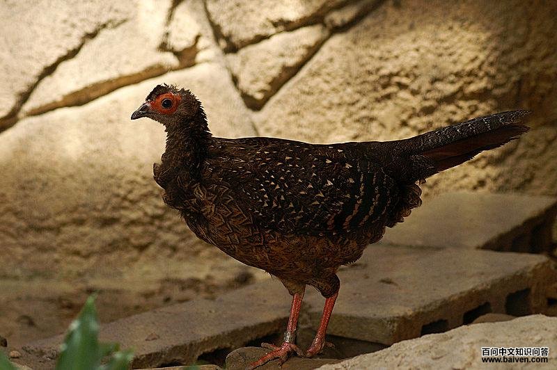 ���£�����