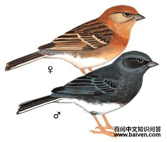 ���c����̬����ͼ