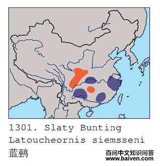 ���c�������ֲ�ͼ