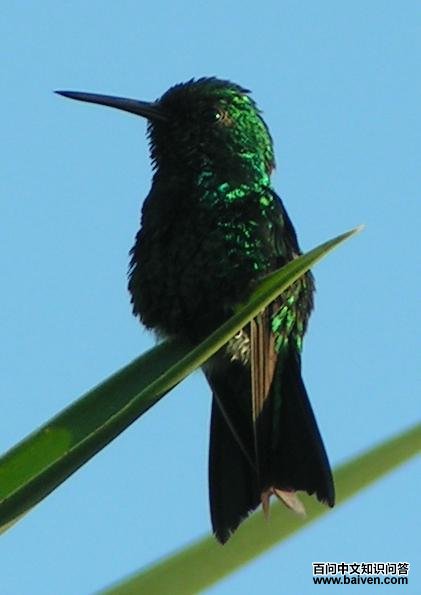 ��β������ͼƬ