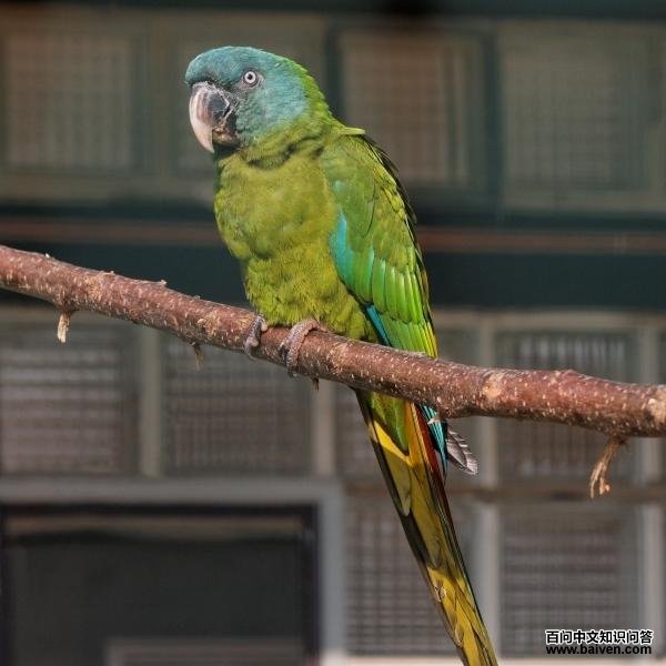 ��ͷ������ĵ�ͼƬ