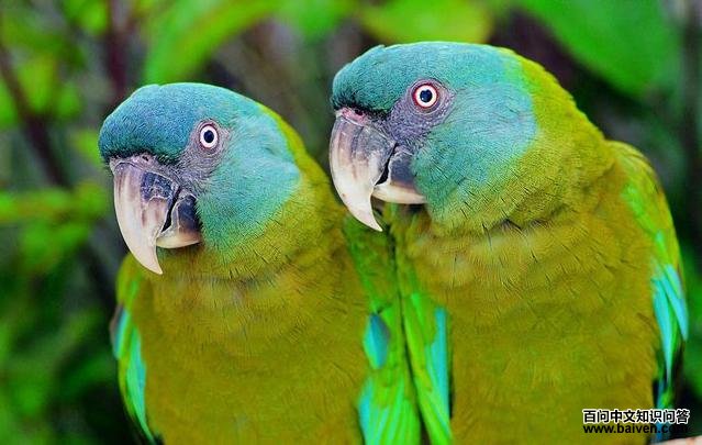 ��ͷ�������