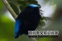 ��ͷ���l��ͼƬ