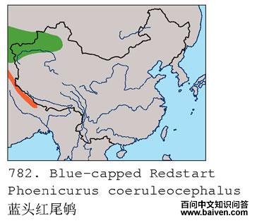 ��ͷ��β�����ֲ�ͼ