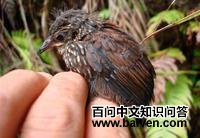 �׺���βȸ��ͼƬ