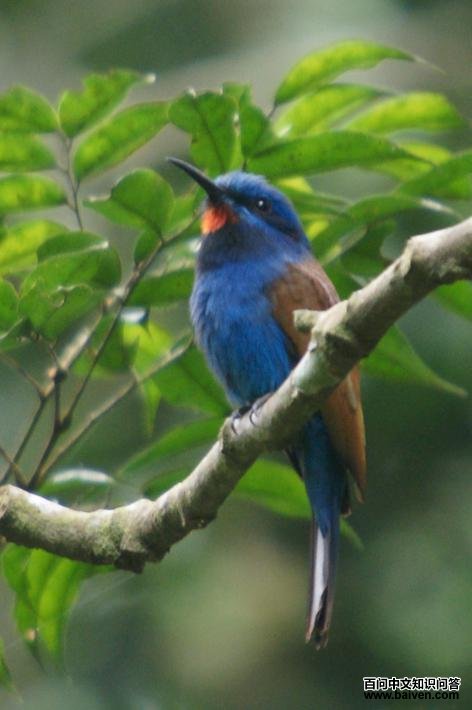 ��ͷ�仢��ͼƬ