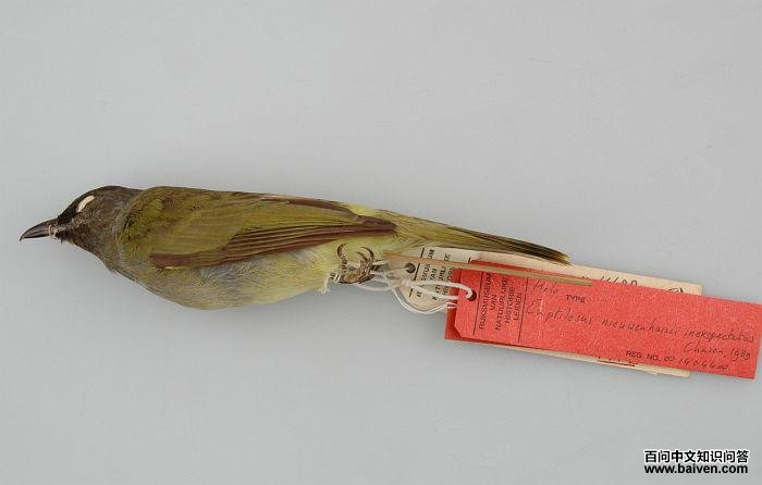 ���ⴹ�ǵ�ͼƬ