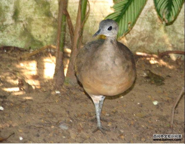 �׺�[����]��ͼƬ