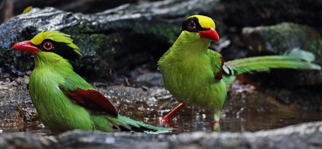 ����ȵһ�ԣ������շ壬����̩��