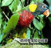 ������������