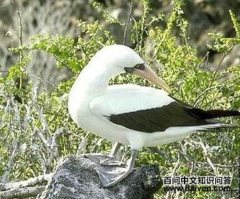 ���������ͼƬ