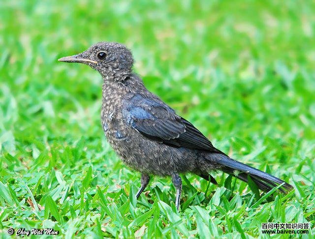 ����𴣺��������