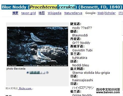 ������Ÿ