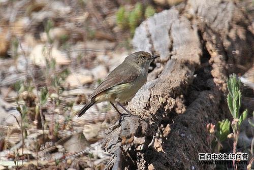 ���Ҵ���ݺ��ͼƬ