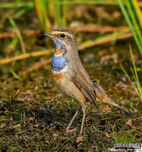 ������𶣺����