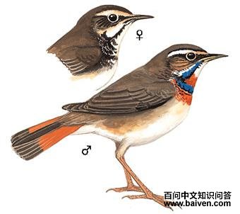 ������𶣺��̬����ͼ