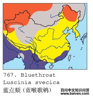 ������𶣺�����ֲ�ͼ