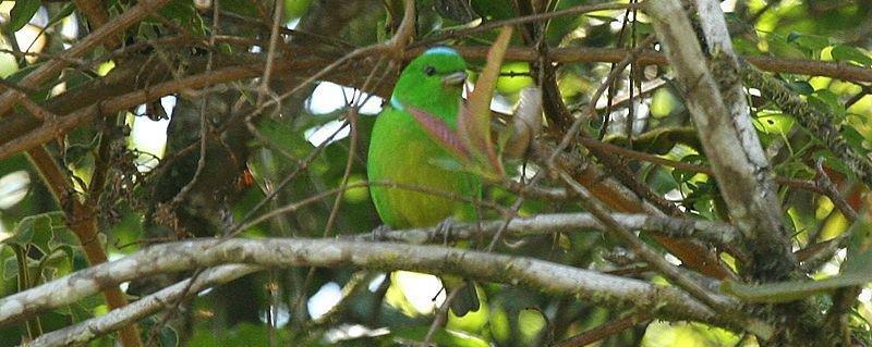 ������ȸ��ͼƬ